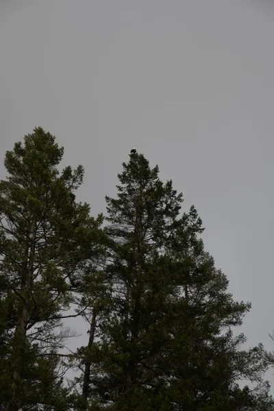 DSC_0190 (Large).JPG